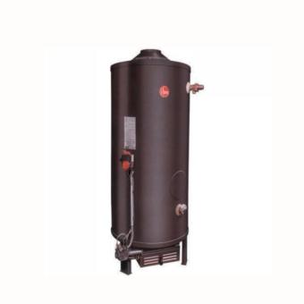 Termot. Rheem gas comerc.250 lts GNAT